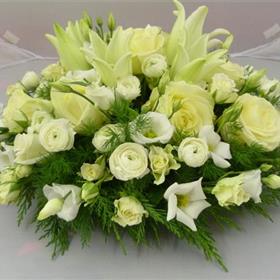 fwthumb19.12.12 031.jpg